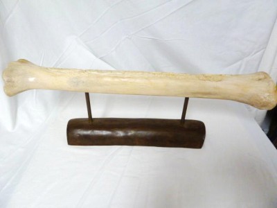Two tourists on vacation in Tanzania, were thrown into prison over a souvenir giraffe bone carving, similar to this one available on eBay, which they had purchased in South Africa. Photo: eBay