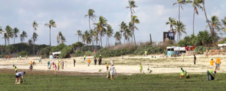 Hundreds of people gathered on International Costal Cleanup day at Coco beach. Photo: Andrew Perkin